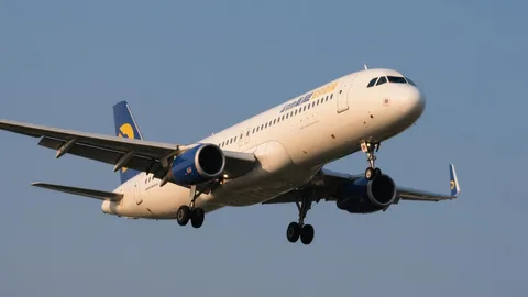Air freight from China to Netherlands: Speed, Cost & Reliability